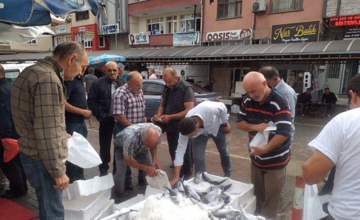 Zonguldak'ta palamut bolluğu fiyatlara yansıdı
