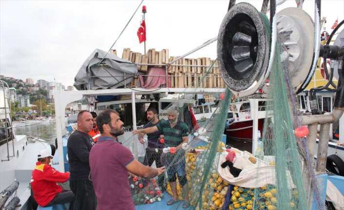 Zonguldak'ta palamut bolluğu tezgahlardaki fiyatlara yansıdı