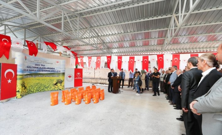 Amasya'da çiftçilere kanola tohumu dağıtıldı