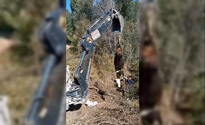 Amasya'da kuyuya düşen inek iş makinesiyle kurtarıldı