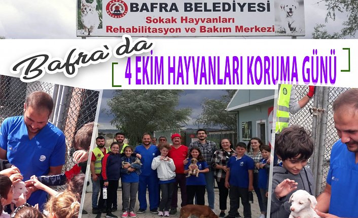 BAFRA’DA “4 EKİM SOKAK HAYVANLARI KORUMA GÜNÜ”