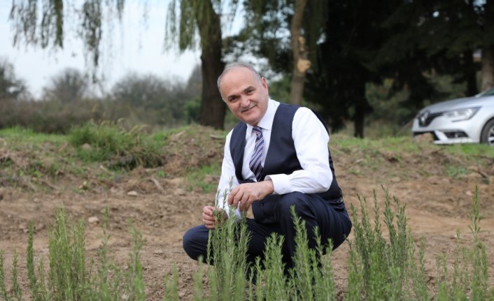 Düzce Belediyesinden tarıma yönelen gençlere destek