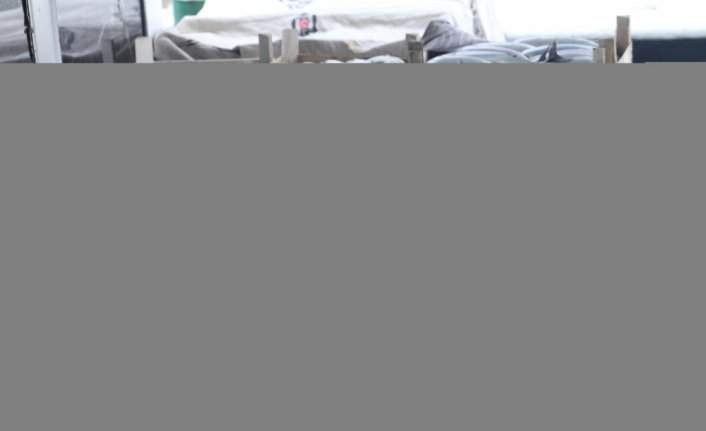 Düzce'de bol miktarda avlanan palamut tezgahlardaki fiyata yansıdı