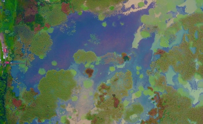 Düzce'nin doğal güzellikleri sonbaharın renklerine büründü