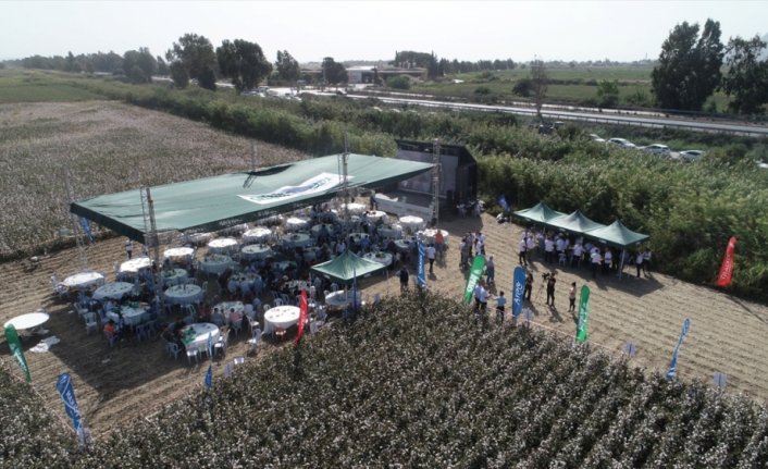 Hektaş'ın yeni pamuk tohumu “Volkan“, Egeli çiftçilere tanıtıldı