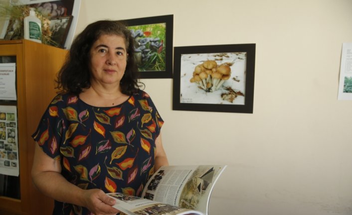 Mantar zehirlenmelerine karşı uzmanlar yine uyardı