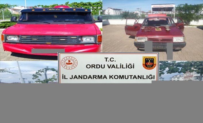 Ordu'da fındık ve kablo hırsızlığı yapan 7 şüpheli yakalandı