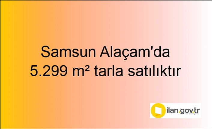 Samsun Alaçam'da 5.299 m² tarla mahkemeden satılıktır