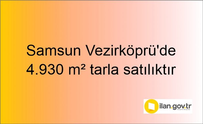 Samsun Vezirköprü'de 4.930 m² tarla mahkemeden satılıktır