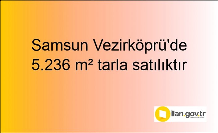 Samsun Vezirköprü'de 5.236 m² tarla mahkemeden satılıktır