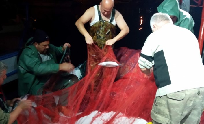 Sinop'ta kıyı balıkçıları kasalar dolusu palamut avladı