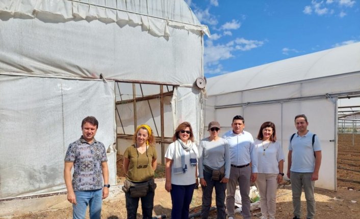 TARSİM heyeti Antalya'daki ekspertiz çalışmalarına katıldı