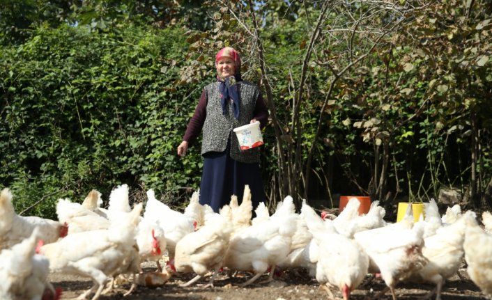 Tavuk çiftliği kuran gencin en büyük destekçisi 80 yaşındaki babaannesi