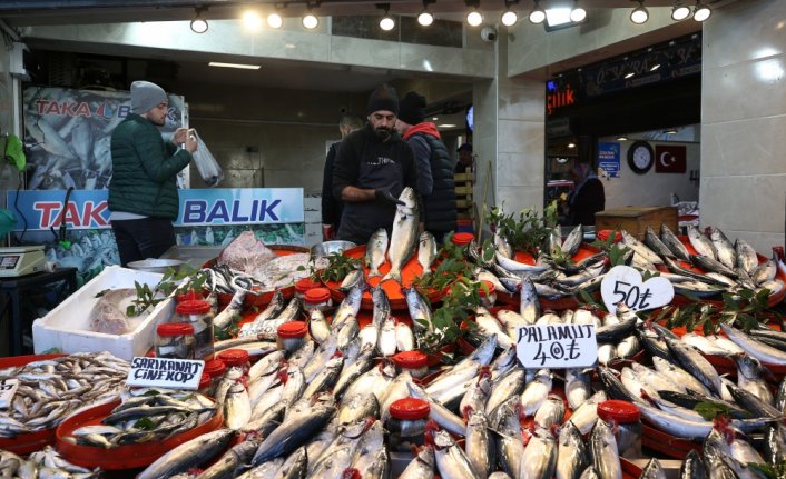 Trabzon'da balıkçıların tezgahlarında palamut bolluğu yaşanıyor