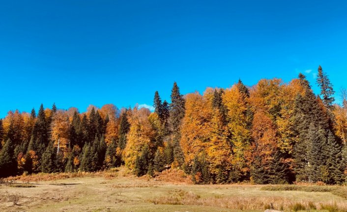 Yayla gezisine çıkan doğaseverler çevreye atılan çöpleri topladı