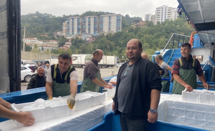 Zonguldak'ta havaların düzelmesiyle bolca avlanan palamudun fiyatı 35 liraya düştü