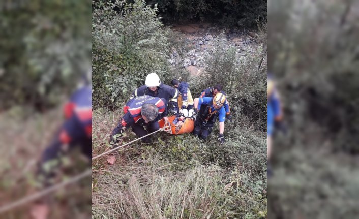 Zonguldak'ta trafik kazalarında 2 kişi yaralandı