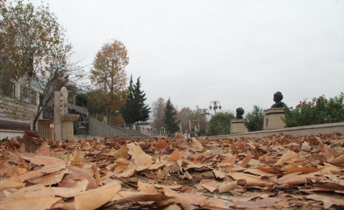 Amasya'da sonbahar kareleri için yapraklar toplanmadı
