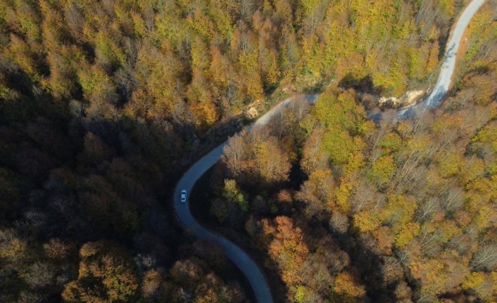 Batı Karadeniz ormanları sonbaharın güzelliklerini sergiliyor