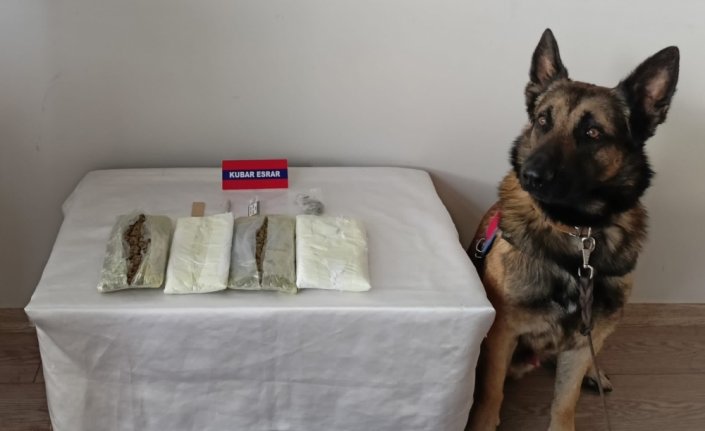 Bolu'da uyuşturucu operasyonunda 1 şüpheli yakalandı