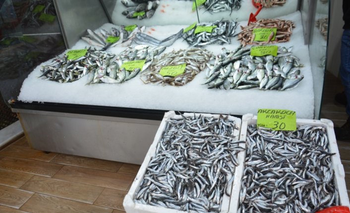 Düzce'de bereketiyle yüz güldüren palamut sezonu sona erdi