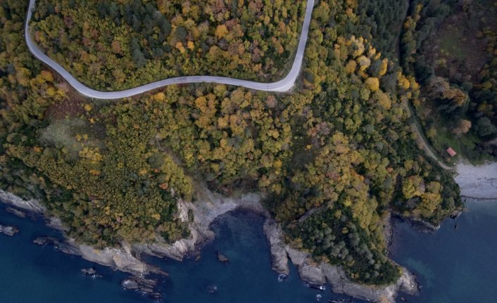 Karadeniz kıyısındaki ormanlarda sonbahar renkleri havadan görüntülendi