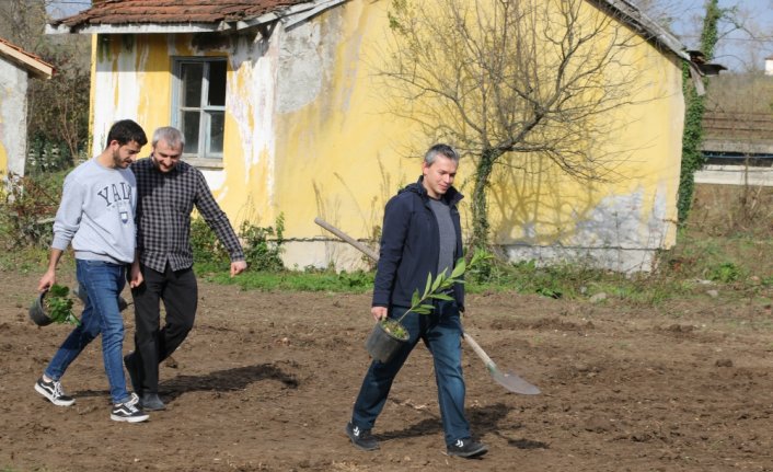 Salıpazarı ilçesinde öğretmenler için 55 meyve fidanı dikildi