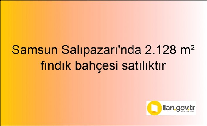 Samsun Salıpazarı'nda 2.128 m² fındık bahçesi icradan satılıktır