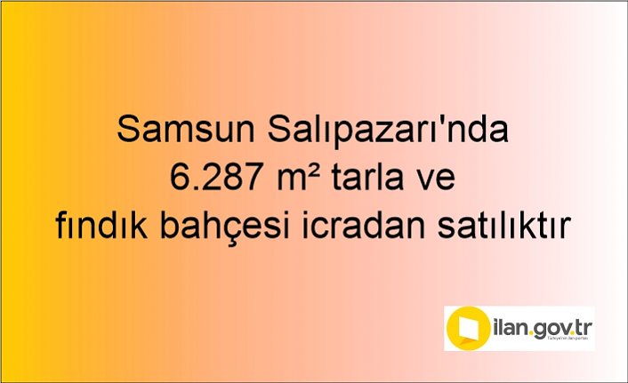 Samsun Salıpazarı'nda 6.287 m² tarla ve fındık bahçesi icradan satılıktır