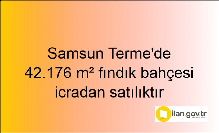 Samsun Terme'de 42.176 m² fındık bahçesi icradan satılıktır