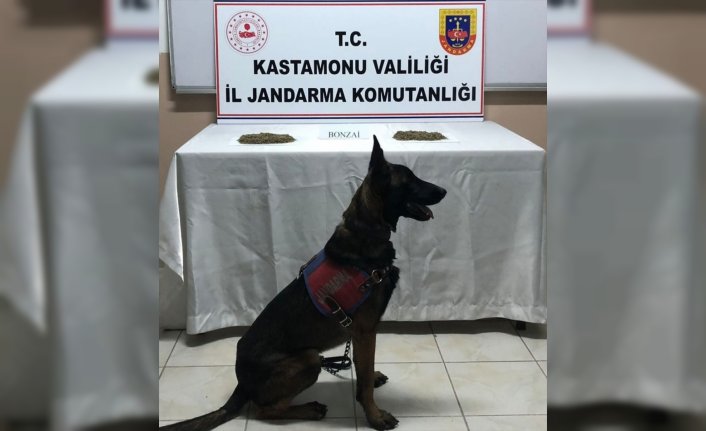 Sarımsak bulunan minibüsün tavan aydınlatmasında uyuşturucu ele geçirildi