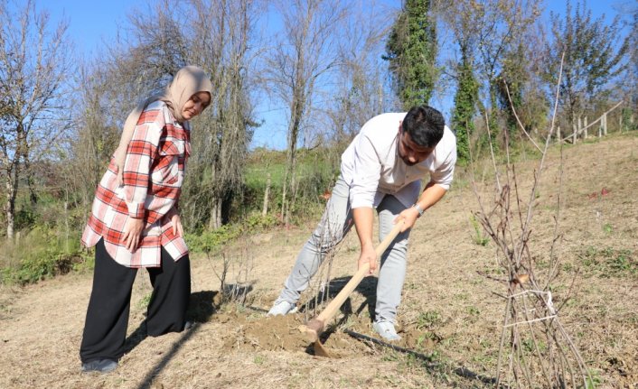 Şehir stresinden kaçan çift, dededen kalma arazide aronya yetiştiriyor