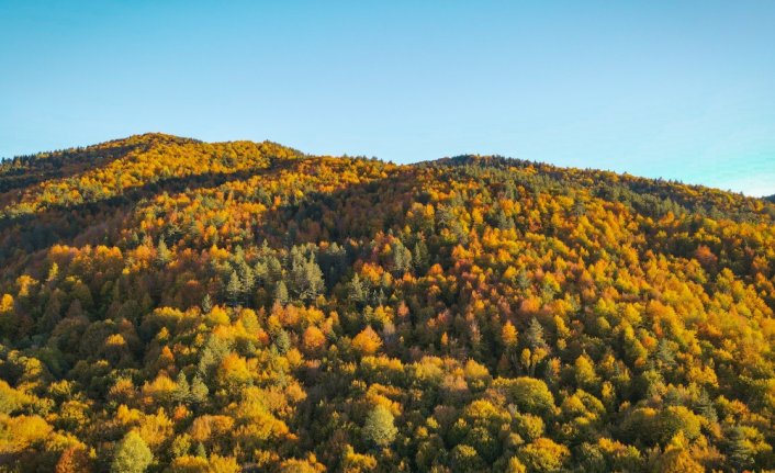 Sonbaharın güzelliklerini 450 metre yükseklikteki cam terastan izliyorlar
