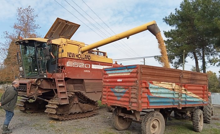 Terme'de 4 bin ton soya fasulyesi yetiştirilmesi bekleniyor