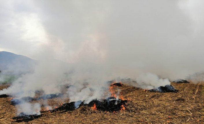 Tokat'ta anız yakan 3 kişiye idari para cezası verildi