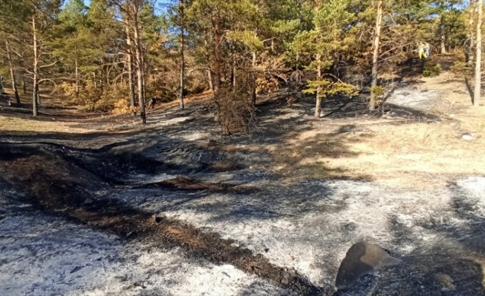 Tokat'ta çıkan yangında 2 dönüm ormanlık alan zarar gördü