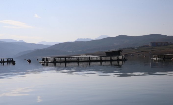 Tokat'tan 20 ülkeye alabalık ihracatı