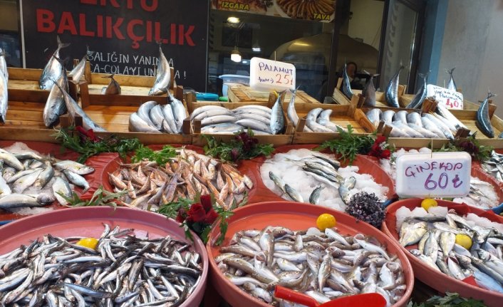 Zonguldak'ta balık tezgahlarında bolluk yaşanıyor