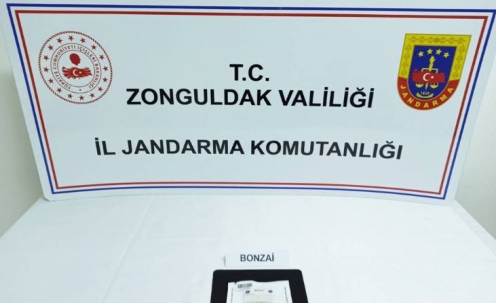Zonguldak'ta uyuşturucu operasyonlarında yakalanan 4 zanlıdan 3'ü tutuklandı