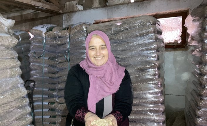 Belediyedeki işinden ayrılıp pelet üretim tesisi kurdu