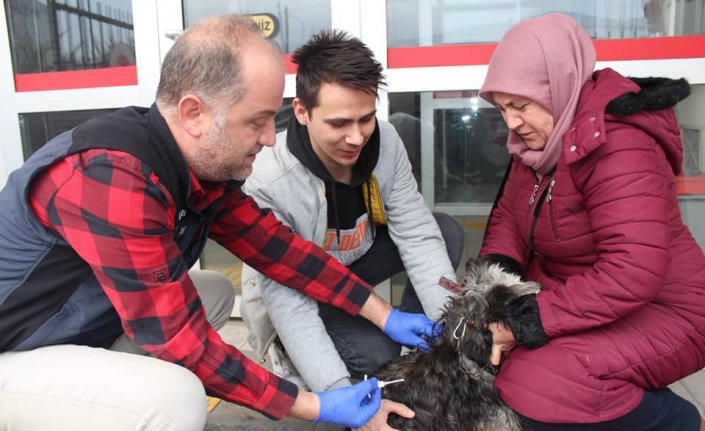 Bolu'da ve Karabük'te 8 bin 820 evcil hayvan kayıt altına alındı