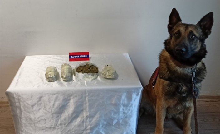 Bolu'da yolcu otobüsünde uyuşturucuyla yakalanan 3 zanlı hakkında işlem yapıldı