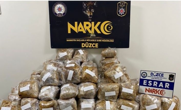 Düzce'de kargo aracında esrar ele geçirilmesine ilişkin 1 şüpheli tutuklandı