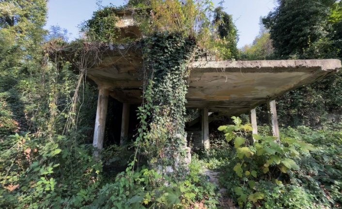 Kara elmasla hayat bulan “Kandilli“ eski günlerini arıyor