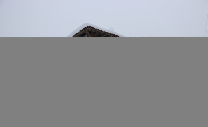 Kastamonu'da kar yağışının ardından ormanlar beyaz örtüyle kaplandı