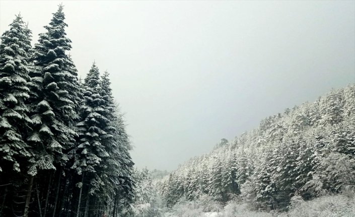 Keltepe Kayak Merkezi'nde kar ve sis etkili oluyor