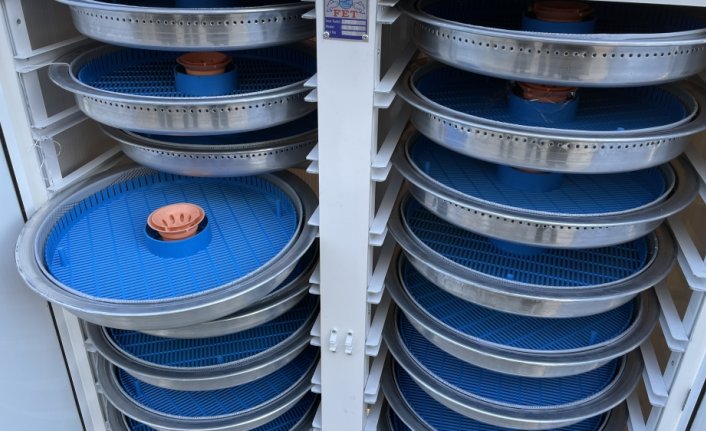 Rize'de alabalık üreticilerine ekipman desteği sağlandı