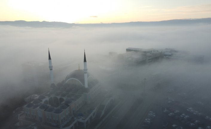 Sakarya, Düzce, Bolu ve Bartın'da sis etkili oluyor