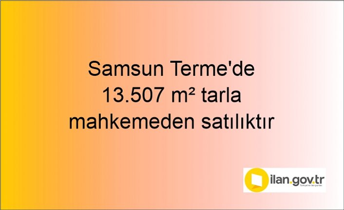 Samsun Terme'de 13.507 m² tarla mahkemeden satılıktır