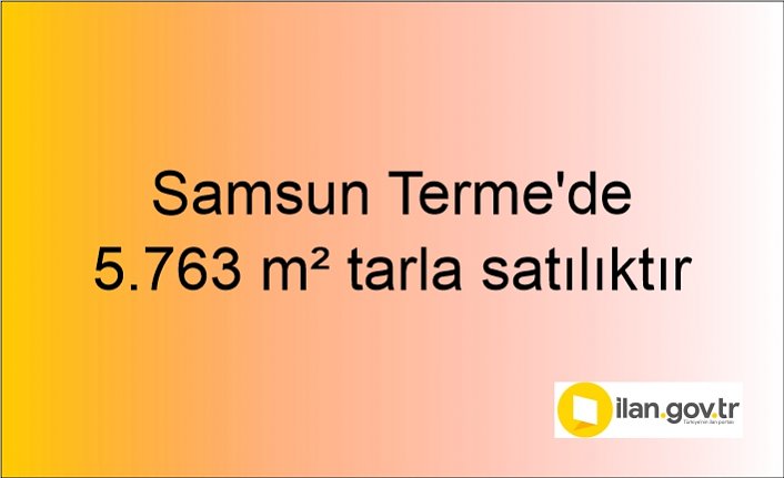 Samsun Terme'de 5.763 m² tarla mahkemeden satılıktır